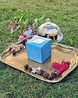 1 Cupcake Blue (Foil) 1 Cupcake Blue (Foil)