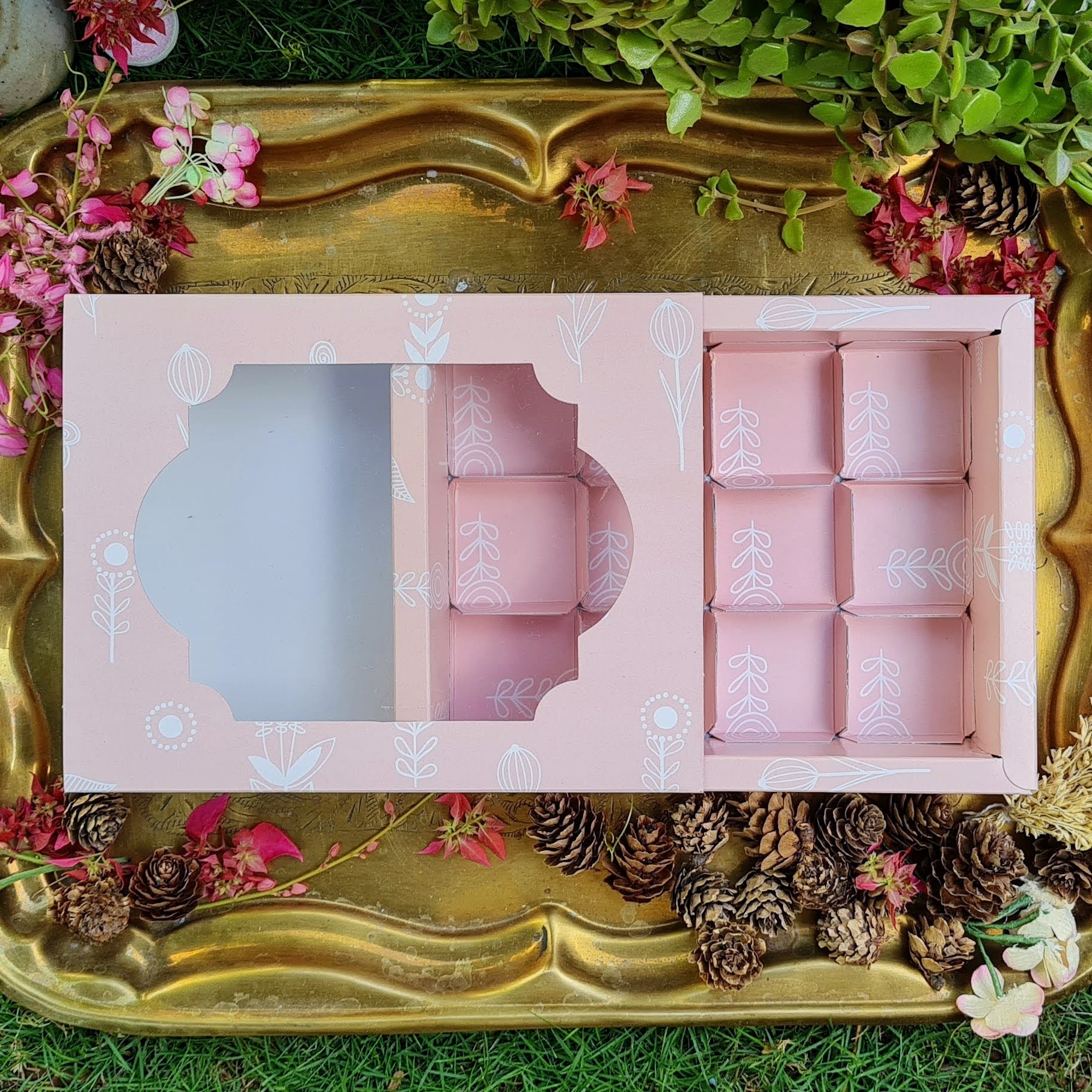 12-Cavity Thoda Sa Pink (Window) 12-Cavity Thoda Sa Pink (Window)