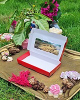 8 Tealights Red (Foil)