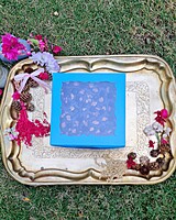 blue-folding-carton-4-brownie-capacity-gujarat