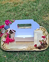 classic-beige-duo-brownie-box-foil-print-box-bazaar classic-beige-duo-brownie-box-foil-print-box-bazaar