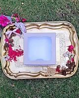 eco-look-4-cavity-brownie-box-wholesale-vadodara eco-look-4-cavity-brownie-box-wholesale-vadodara