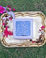 4 Pc Brownie Box with Window - Beige Foil 320 GSM 4 Pc Brownie Box with Window - Beige Foil 320 GSM
