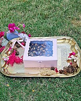simple-blush-4-cavity-box-factory-price-gujarat