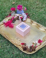 single-brownie-blush-pink-box-gold-foil-vadodara single-brownie-blush-pink-box-gold-foil-vadodara