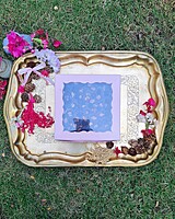 soft-pink-window-box-for-4-brownies-bulk-supplier