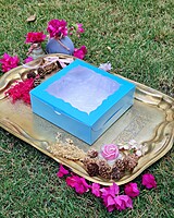 four-brownie-blue-simple-window-box-manufacturer-india